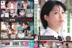 電車生姦制裁 #003